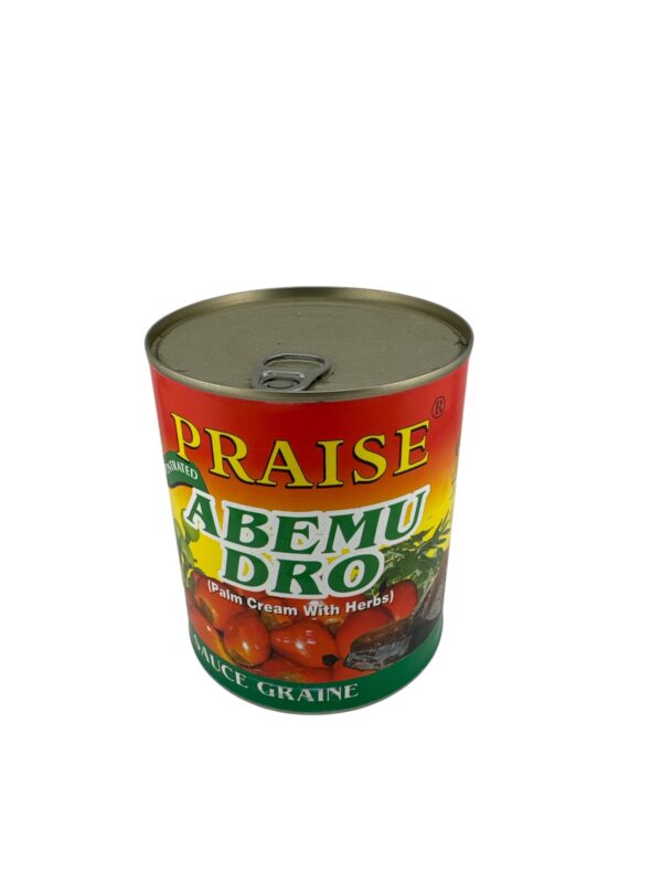 Praise Abemu Dro